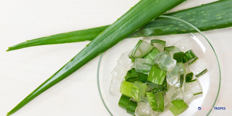 Aloe Vera Juice
